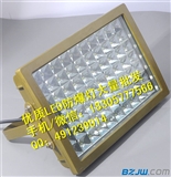 led防爆泛光灯100w,喷砂房用防爆照明灯