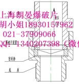 爆破片