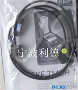 SKF进口TMBH1感应加热器温控探头利德代理商