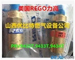 美国力高REGO安全阀150psig,230psig,350psig优+价